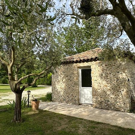 Maisonnette Independante Au Calme Dans Un Grand Jardin Châteauneuf-du-Rhône Eksteriør billede