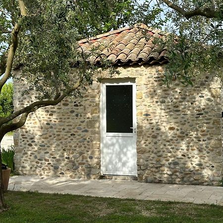 Maisonnette Independante Au Calme Dans Un Grand Jardin Châteauneuf-du-Rhône Eksteriør billede