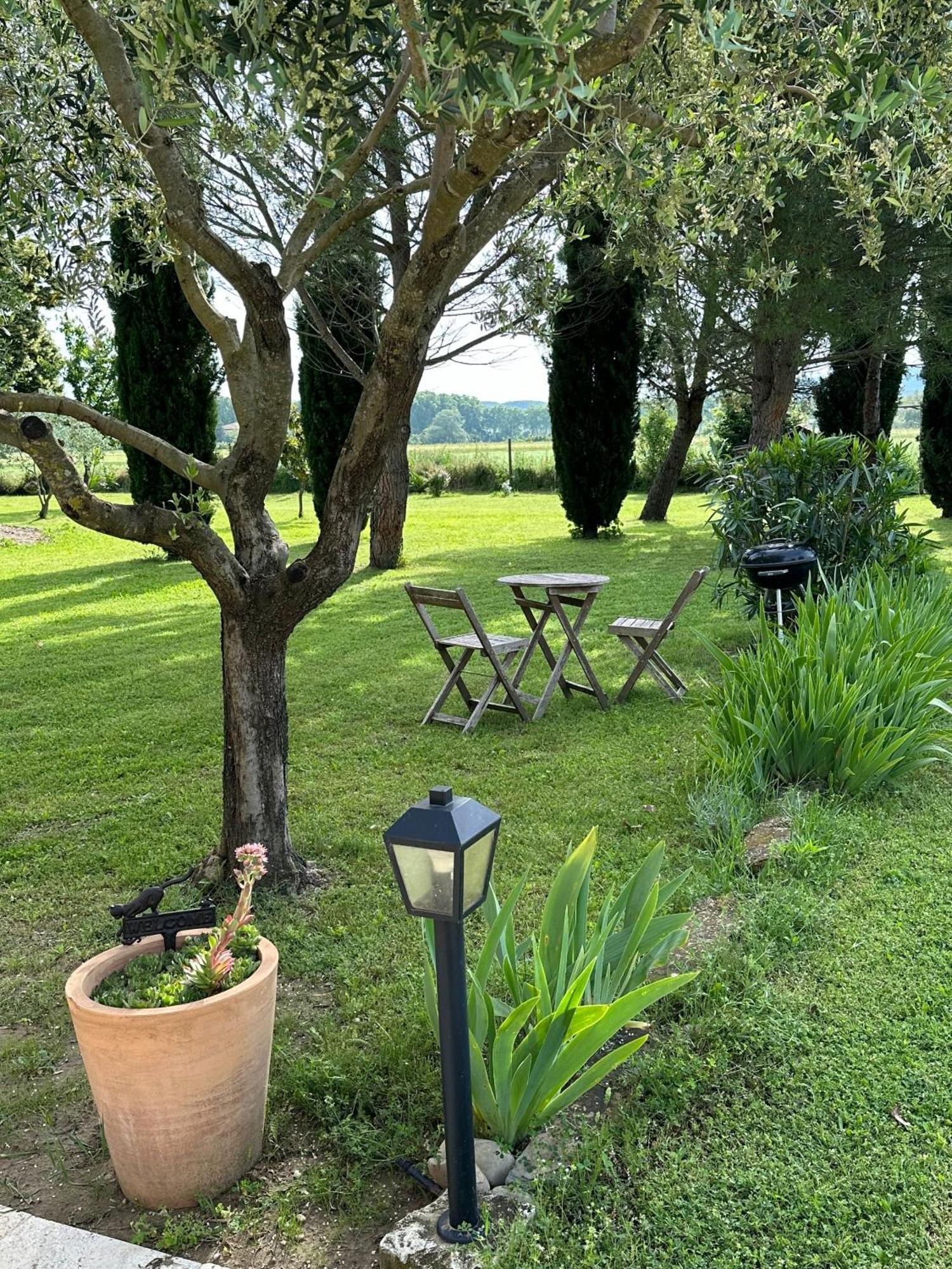 Maisonnette Independante Au Calme Dans Un Grand Jardin Châteauneuf-du-Rhône Eksteriør billede