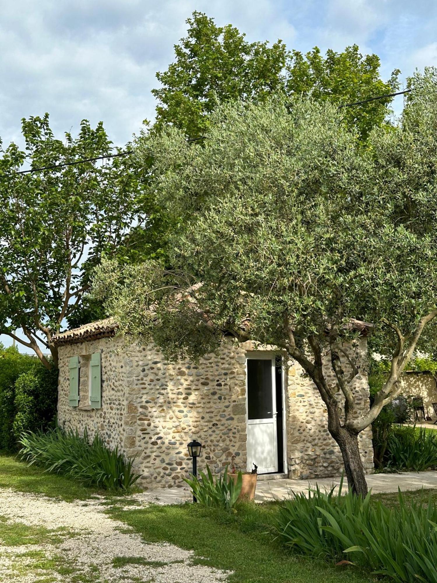Maisonnette Independante Au Calme Dans Un Grand Jardin Châteauneuf-du-Rhône Eksteriør billede