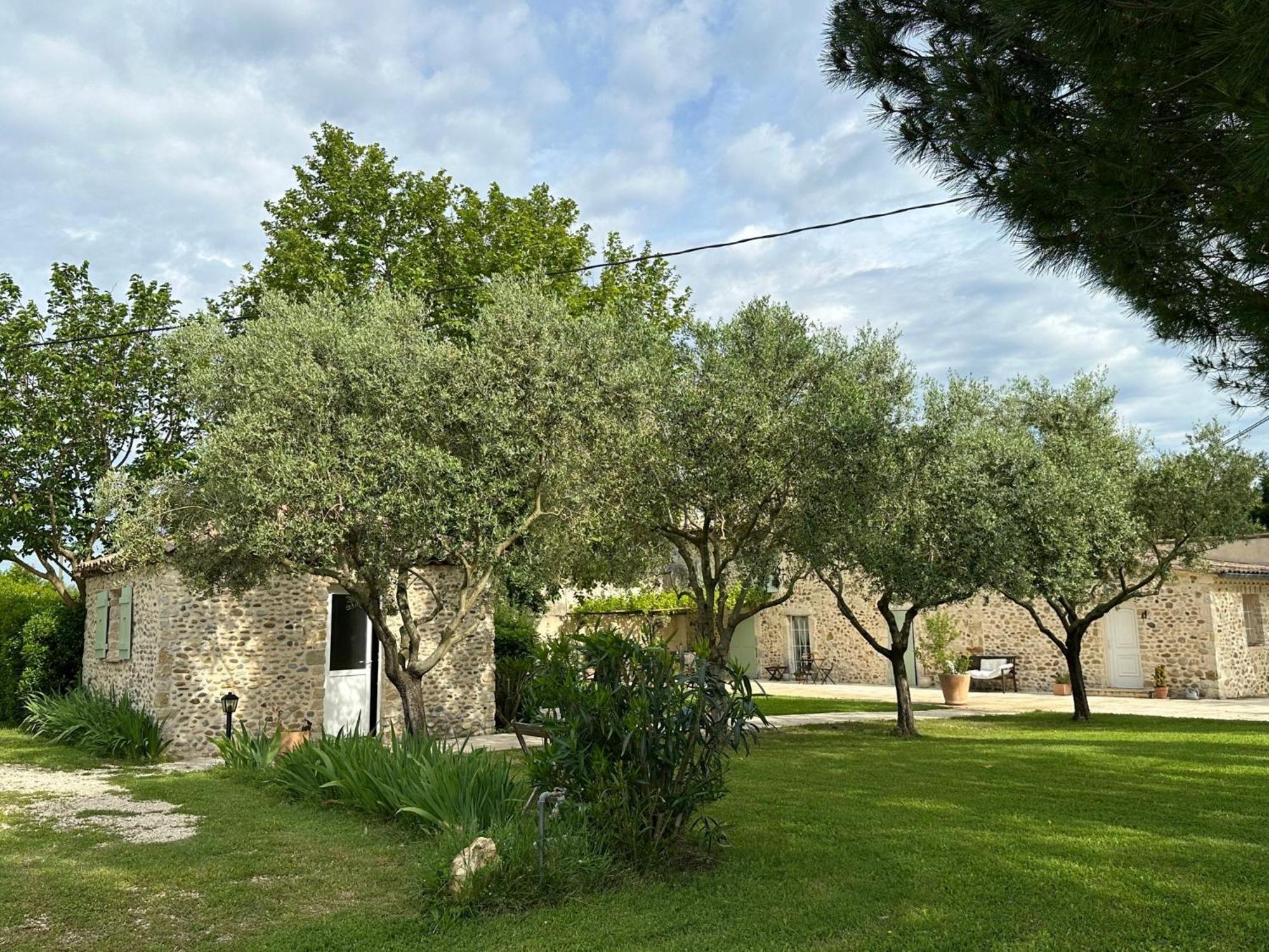 Maisonnette Independante Au Calme Dans Un Grand Jardin Châteauneuf-du-Rhône Eksteriør billede